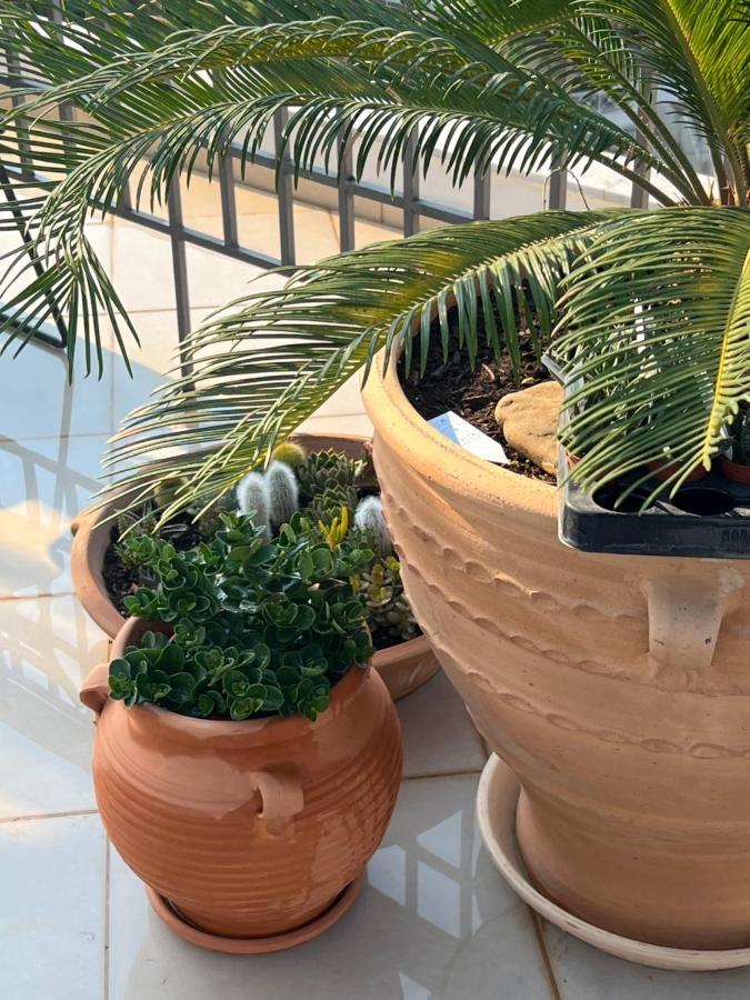 Magical Seaside Town Boutique Apts 2 Kyparissia Bagian luar foto